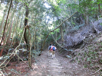 俎石山ハイキングコース