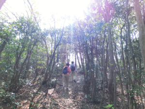 俎石山ハイキングコース