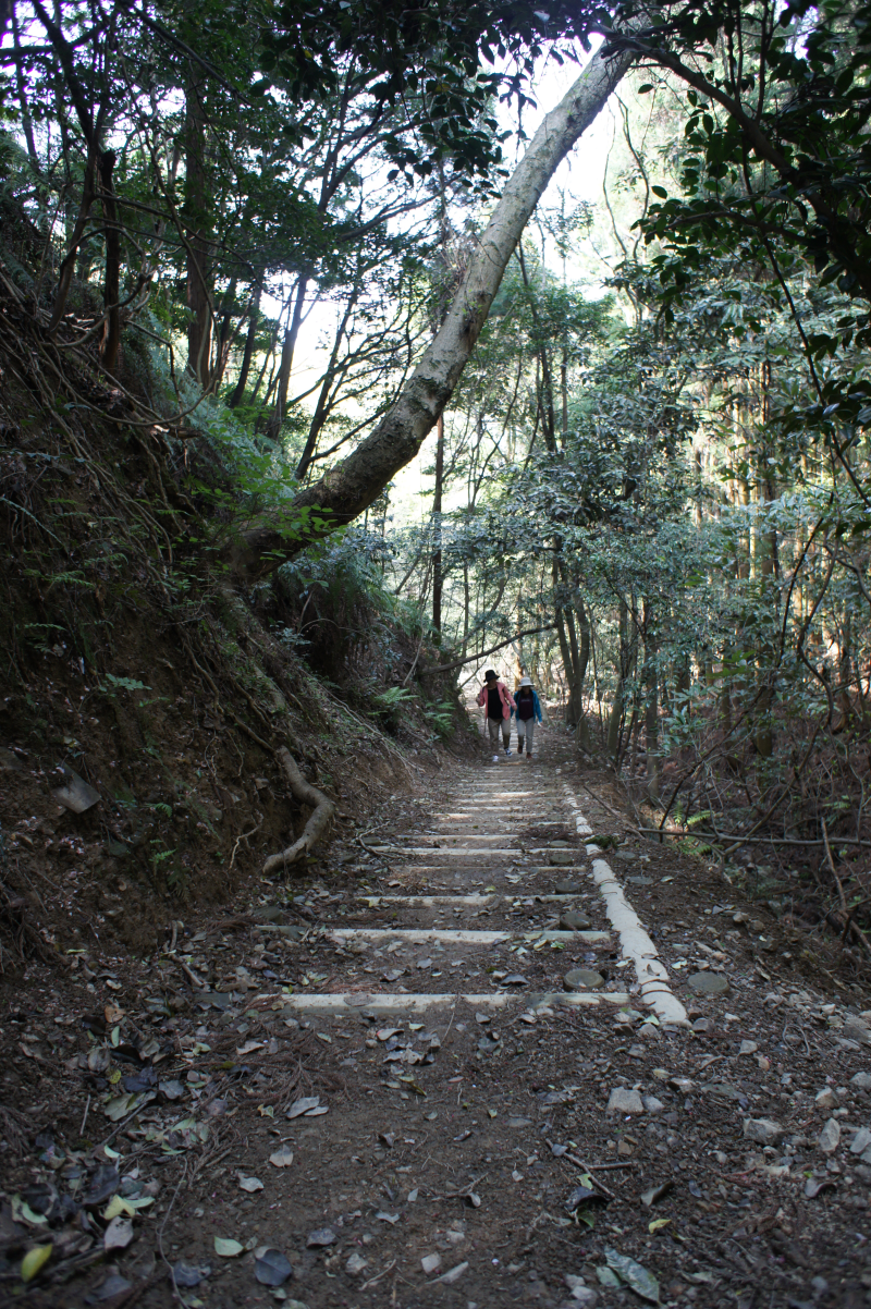 俎石山登山風景