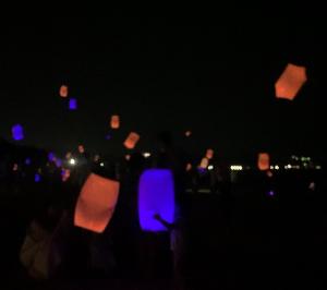 ランタン(2色)