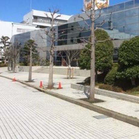 サラダホール前道路
