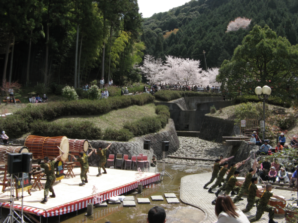 山中渓の桜 阪南市