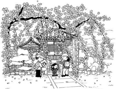 地福寺のしだれ桜