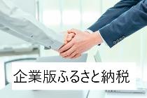 地方創生応援税制（企業版ふるさと納税）