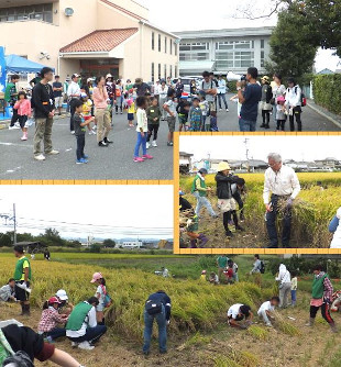 アルン西鳥取夢学舎駐車場に参加者が集合。多くの親子が参加。同園前の田んぼにて皆で稲刈り体験