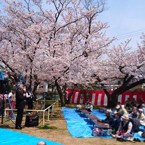 鴻和桜祭りであいさつする水野市長
