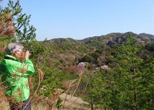 山に登り、山桜等の絶景を写真撮影する水野市長