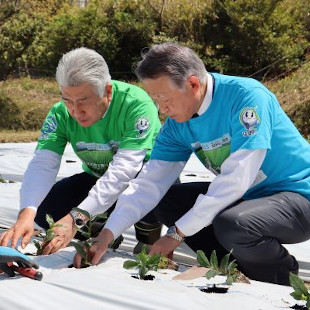 国枝・伊藤園執行役員・関西地域営業本部長とともにお茶の木を植樹する水野市長